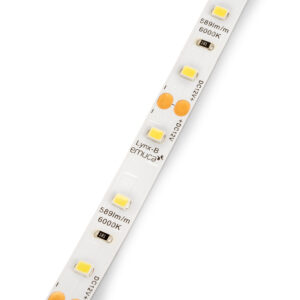 LED Strip (Basic) 4,8W/m (60 LED PER M) IP20 (12V DC)